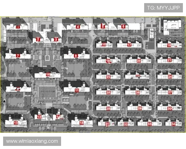 武汉滑板队的团队协作之道：滑板巨献背后的默契与激情